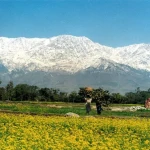 Scenic mountain landscape on Himachal Pradesh tour package thumbnail