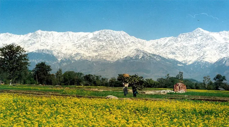 Scenic mountain landscape on Himachal Pradesh tour package thumbnail