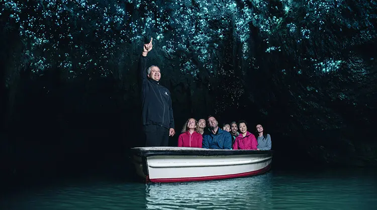 Explore New Zealand nature and wildlife tours thumbnail