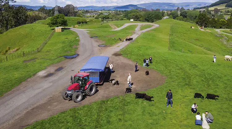 New Zealand holiday tourist attractions view thumbnail