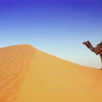 Scenic view of heritage tourism in Rajasthan tour package thumbnail