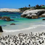 Luxurious safari lodge accommodation in South Africa game reserve