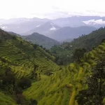 Scenic valley view during Uttarakhand tour thumbnail