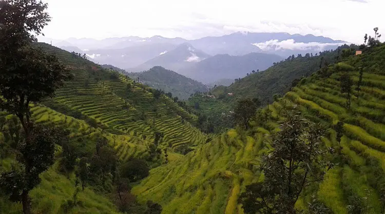 Scenic valley view during Uttarakhand tour thumbnail